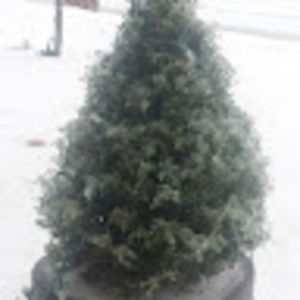 Meet your Posher, Kemi